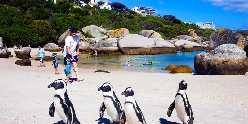 Экзотика! ЮАР из Киева всего 476 евро