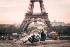 Киев —  Париж — Киев за 62€ в марте!