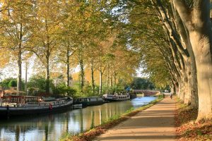 Тулуза из Киева за 87€ с человека